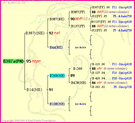 Pedigree of B387a(PN) :
four generations presented