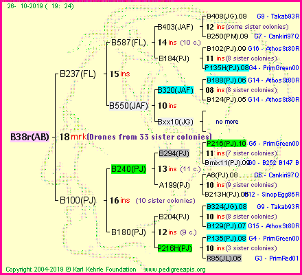 Pedigree of B38r(AB) :
four generations presented<br />it's temporarily unavailable, sorry!