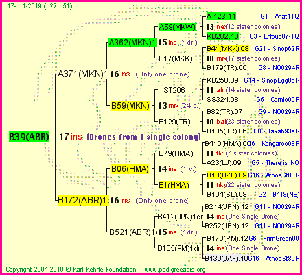 Pedigree of B39(ABR) :
four generations presented<br />it's temporarily unavailable, sorry!