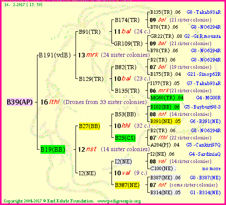 Pedigree of B39(AP) :
four generations presented<br />it's temporarily unavailable, sorry!