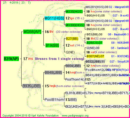 Pedigree of B39(AP) :
four generations presented
it's temporarily unavailable, sorry!