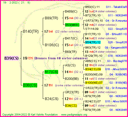 Pedigree of B39(CS) :
four generations presented
it's temporarily unavailable, sorry!