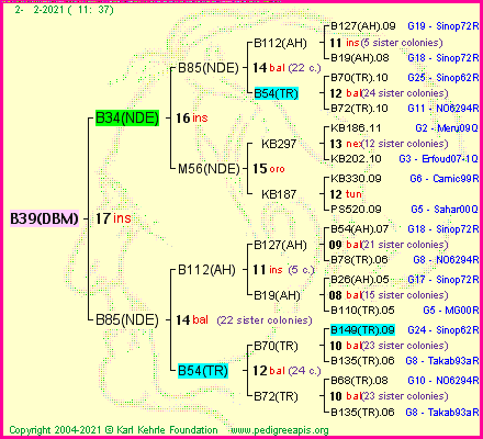 Pedigree of B39(DBM) :
four generations presented
it's temporarily unavailable, sorry!