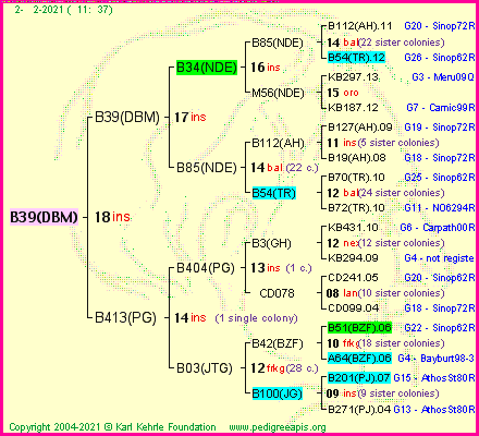 Pedigree of B39(DBM) :
four generations presented
it's temporarily unavailable, sorry!