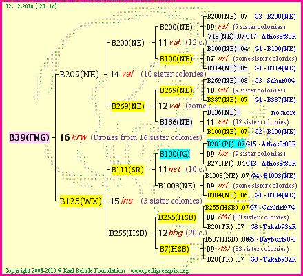 Pedigree of B39(FNG) :
four generations presented