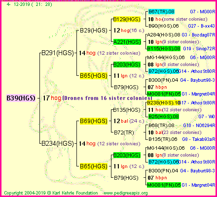 Pedigree of B39(HGS) :
four generations presented<br />it's temporarily unavailable, sorry!