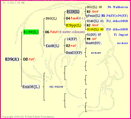 Pedigree of B39(JL) :
four generations presented