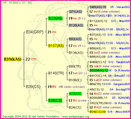 Pedigree of B39(KAS) :
four generations presented
it's temporarily unavailable, sorry!