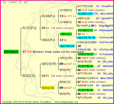 Pedigree of B39(KKI) :
four generations presented<br />it's temporarily unavailable, sorry!