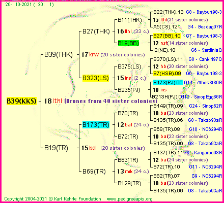 Pedigree of B39(KKS) :
four generations presented
it's temporarily unavailable, sorry!