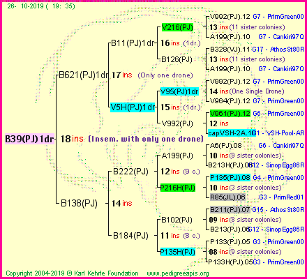 Pedigree of B39(PJ)1dr :
four generations presented<br />it's temporarily unavailable, sorry!