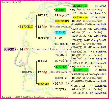 Pedigree of B39(RS) :
four generations presented
it's temporarily unavailable, sorry!