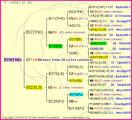 Pedigree of B39(THK) :
four generations presented<br />it's temporarily unavailable, sorry!