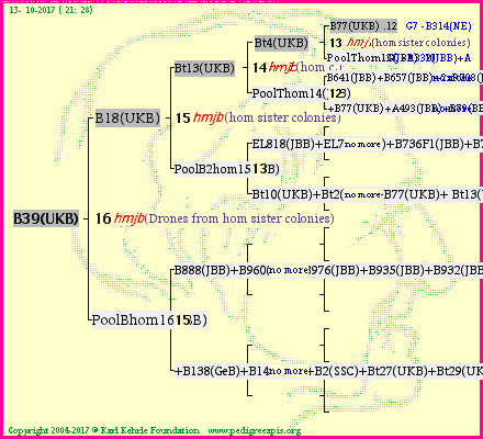 Pedigree of B39(UKB) :
four generations presented<br />it's temporarily unavailable, sorry!