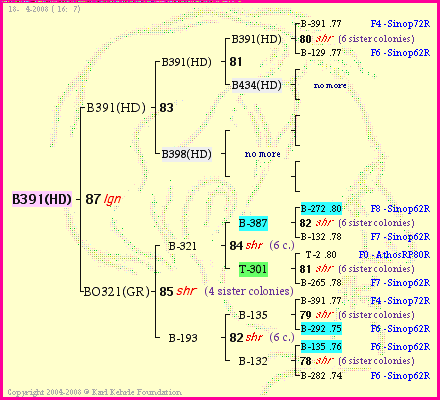 Pedigree of B391(HD) :
four generations presented<br />it's temporarily unavailable, sorry!