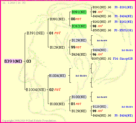 Pedigree of B391(NE) :
four generations presented<br />it's temporarily unavailable, sorry!