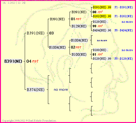 Pedigree of B391(NE) :
four generations presented