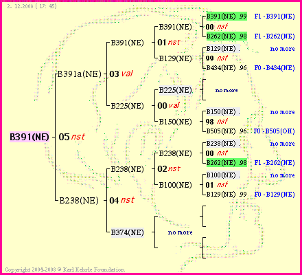 Pedigree of B391(NE) :
four generations presented