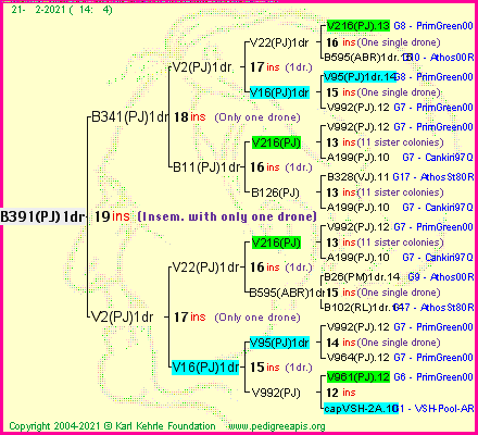 Pedigree of B391(PJ)1dr :
four generations presented
it's temporarily unavailable, sorry!