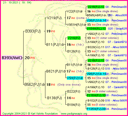 Pedigree of B393(AMC) :
four generations presented
it's temporarily unavailable, sorry!