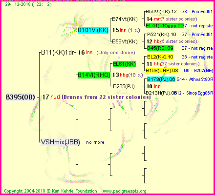 Pedigree of B395(OD) :
four generations presented<br />it's temporarily unavailable, sorry!