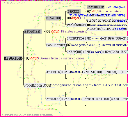 Pedigree of B396(JBB) :
four generations presented<br />it's temporarily unavailable, sorry!