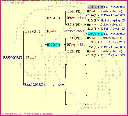 Pedigree of B399(CBC) :
four generations presented