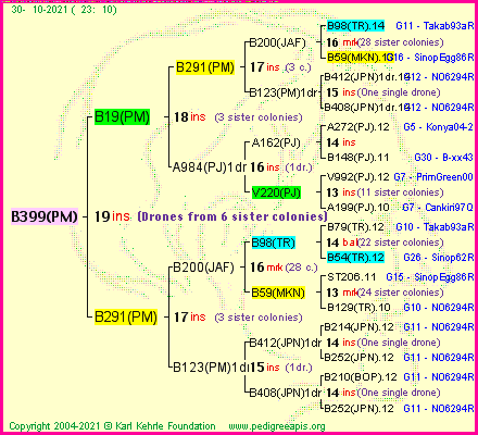 Pedigree of B399(PM) :
four generations presented
it's temporarily unavailable, sorry!