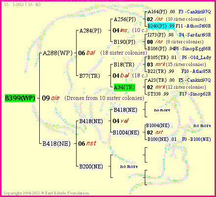 Pedigree of B399(WP) :
four generations presented