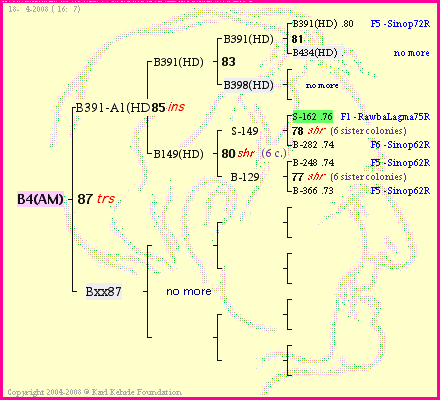 Pedigree of B4(AM) :
four generations presented<br />it's temporarily unavailable, sorry!