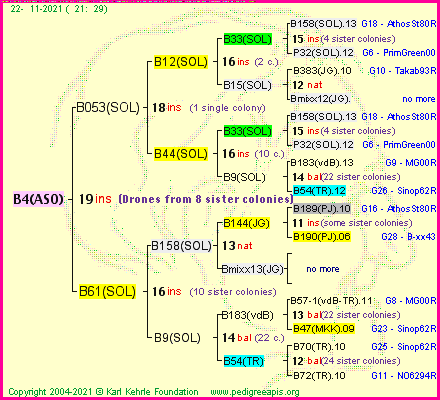 Pedigree of B4(ASO) :
four generations presented
it's temporarily unavailable, sorry!