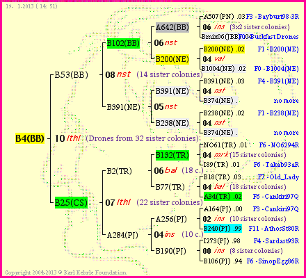 Pedigree of B4(BB) :
four generations presented