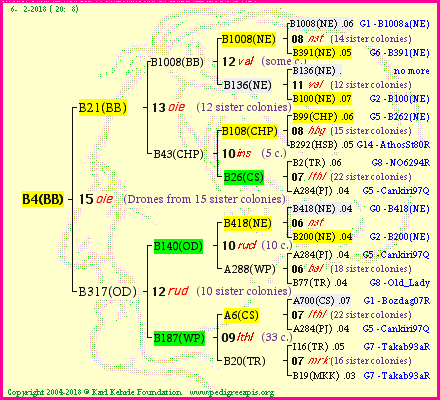 Pedigree of B4(BB) :
four generations presented