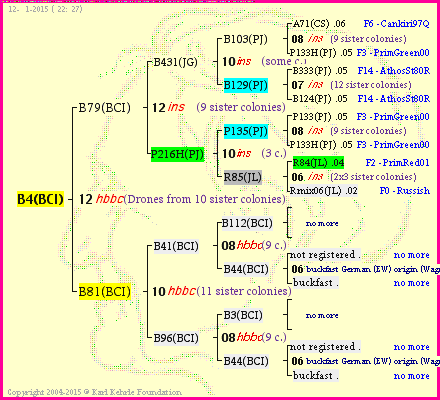 Pedigree of B4(BCI) :
four generations presented