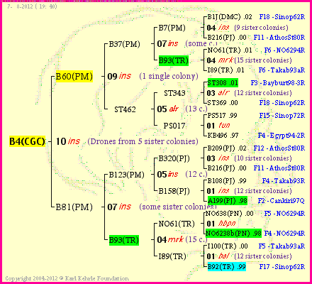 Pedigree of B4(CGC) :
four generations presented