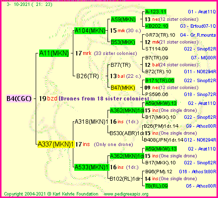 Pedigree of B4(CGC) :
four generations presented
it's temporarily unavailable, sorry!