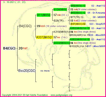 Pedigree of B4(CGC) :
four generations presented
it's temporarily unavailable, sorry!