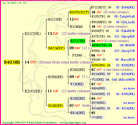 Pedigree of B4(CHB) :
four generations presented