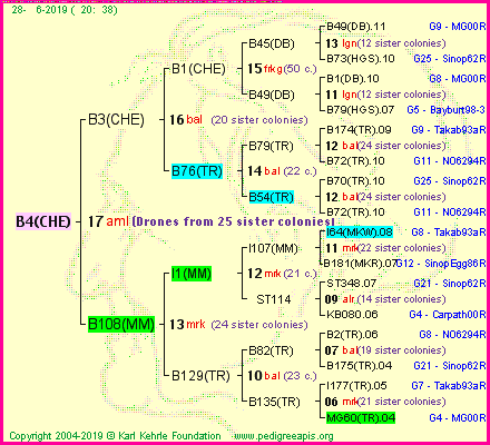 Pedigree of B4(CHE) :
four generations presented
it's temporarily unavailable, sorry!