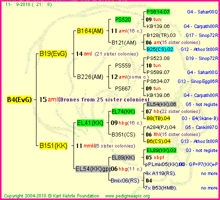 Pedigree of B4(EvG) :
four generations presented<br />it's temporarily unavailable, sorry!