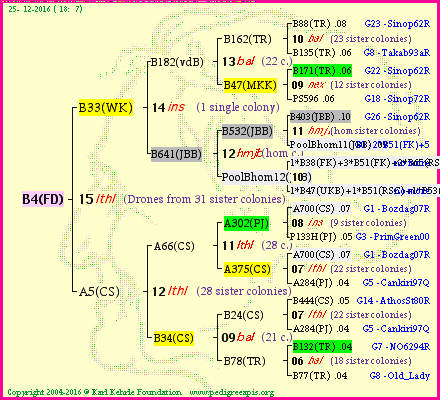 Pedigree of B4(FD) :
four generations presented