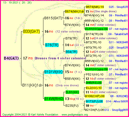 Pedigree of B4(GKT) :
four generations presented
it's temporarily unavailable, sorry!