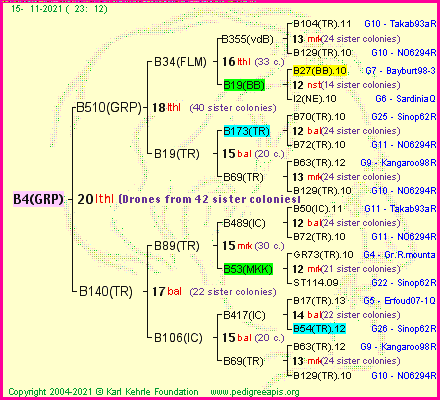 Pedigree of B4(GRP) :
four generations presented
it's temporarily unavailable, sorry!