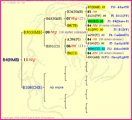 Pedigree of B4(HMB) :
four generations presented