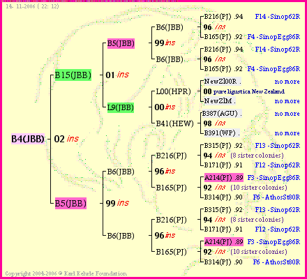 Pedigree of B4(JBB) :
four generations presented