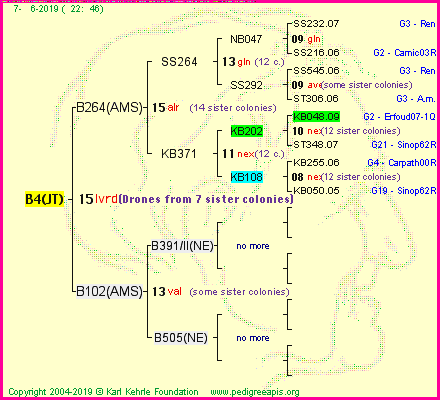 Pedigree of B4(JT) :
four generations presented<br />it's temporarily unavailable, sorry!