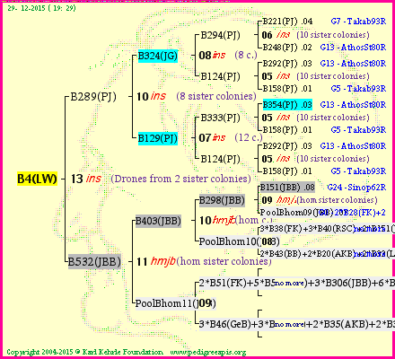 Pedigree of B4(LW) :
four generations presented