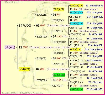 Pedigree of B4(ME) :
four generations presented