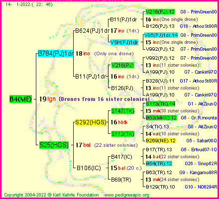 Pedigree of B4(ME) :
four generations presented
it's temporarily unavailable, sorry!