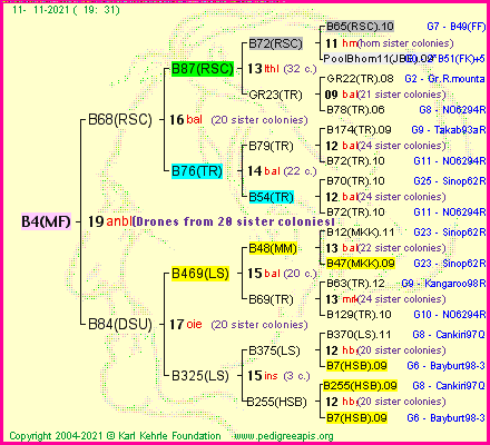 Pedigree of B4(MF) :
four generations presented
it's temporarily unavailable, sorry!